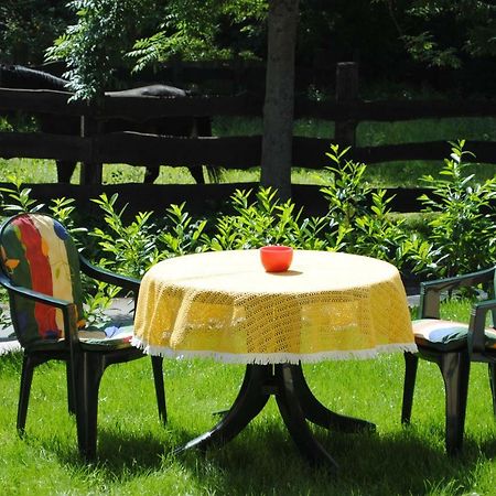 Ferienwohnung An Der Gramme Niederzimmern Ngoại thất bức ảnh